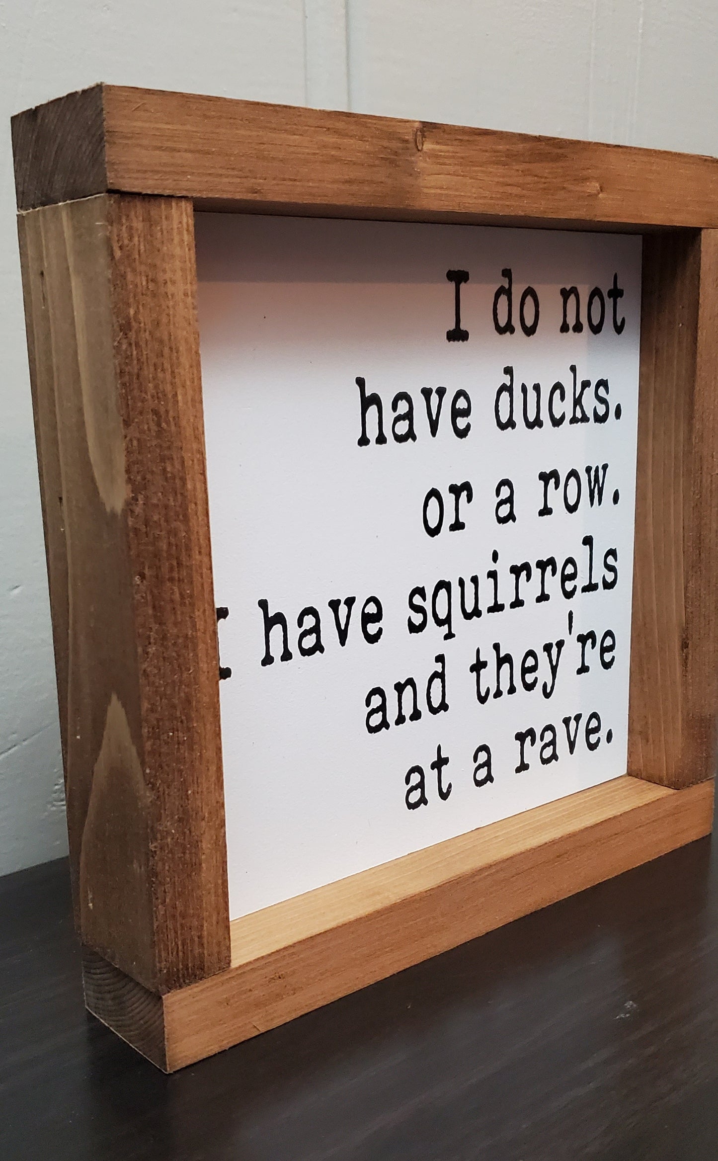 Squirrels -Rave 8"
