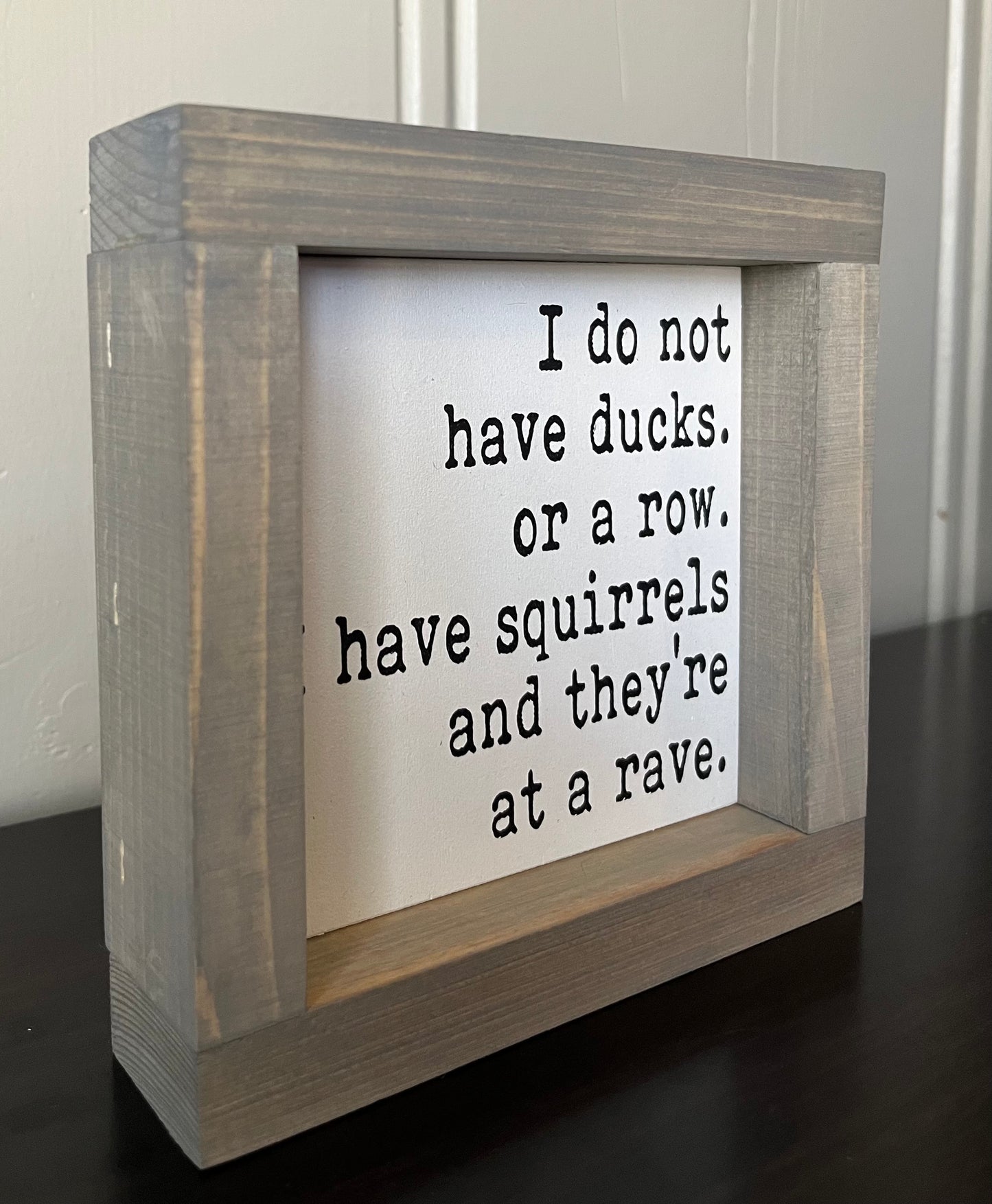 Squirrels -Rave 6"