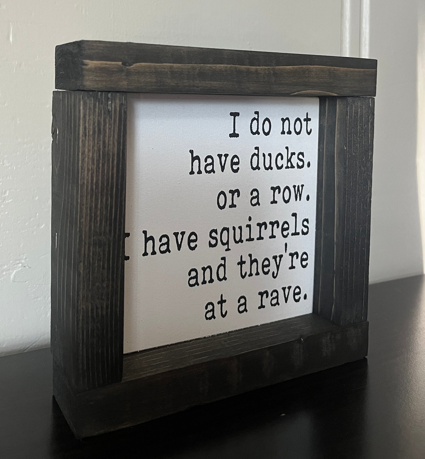 Squirrels -Rave 6"