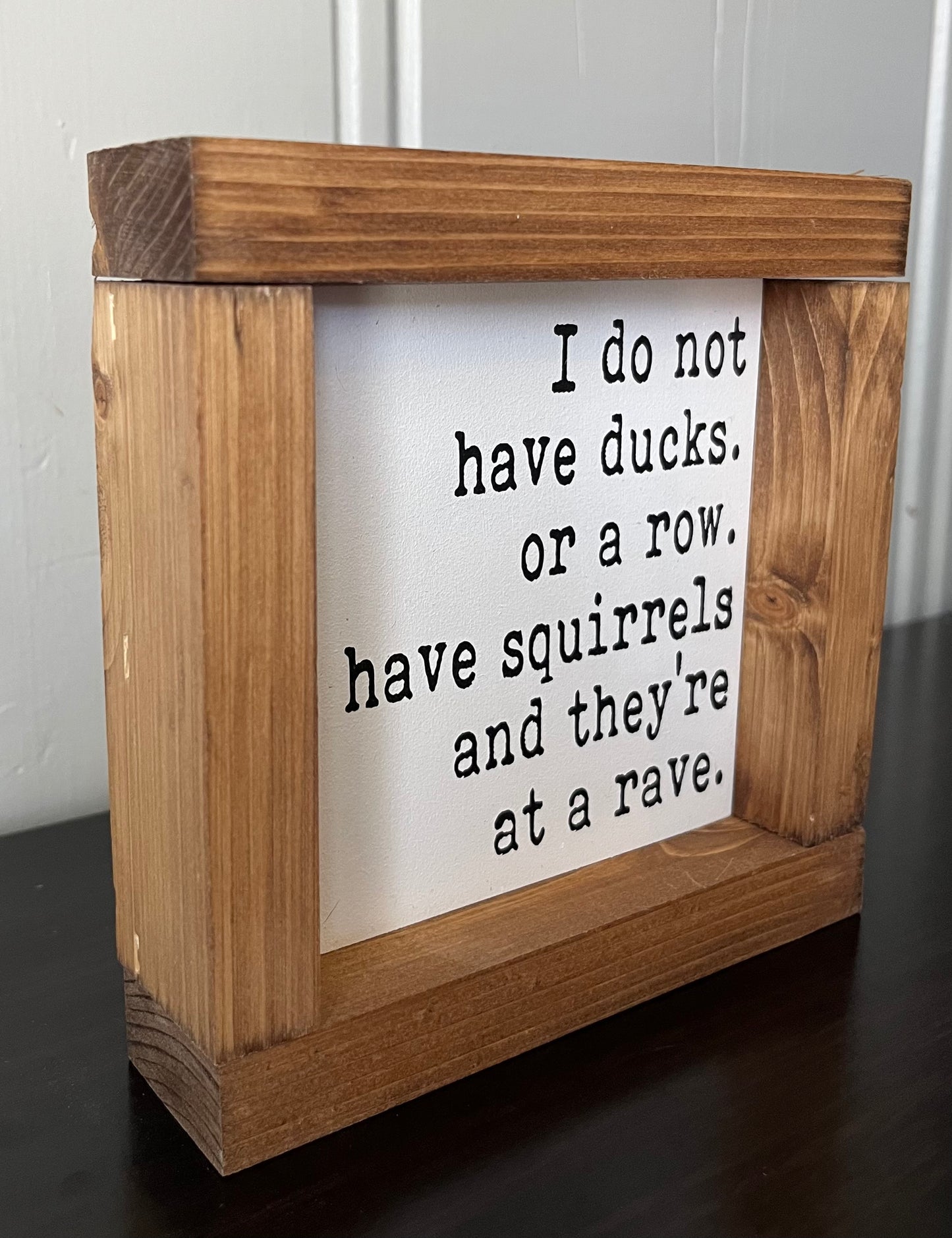 Squirrels -Rave 6"