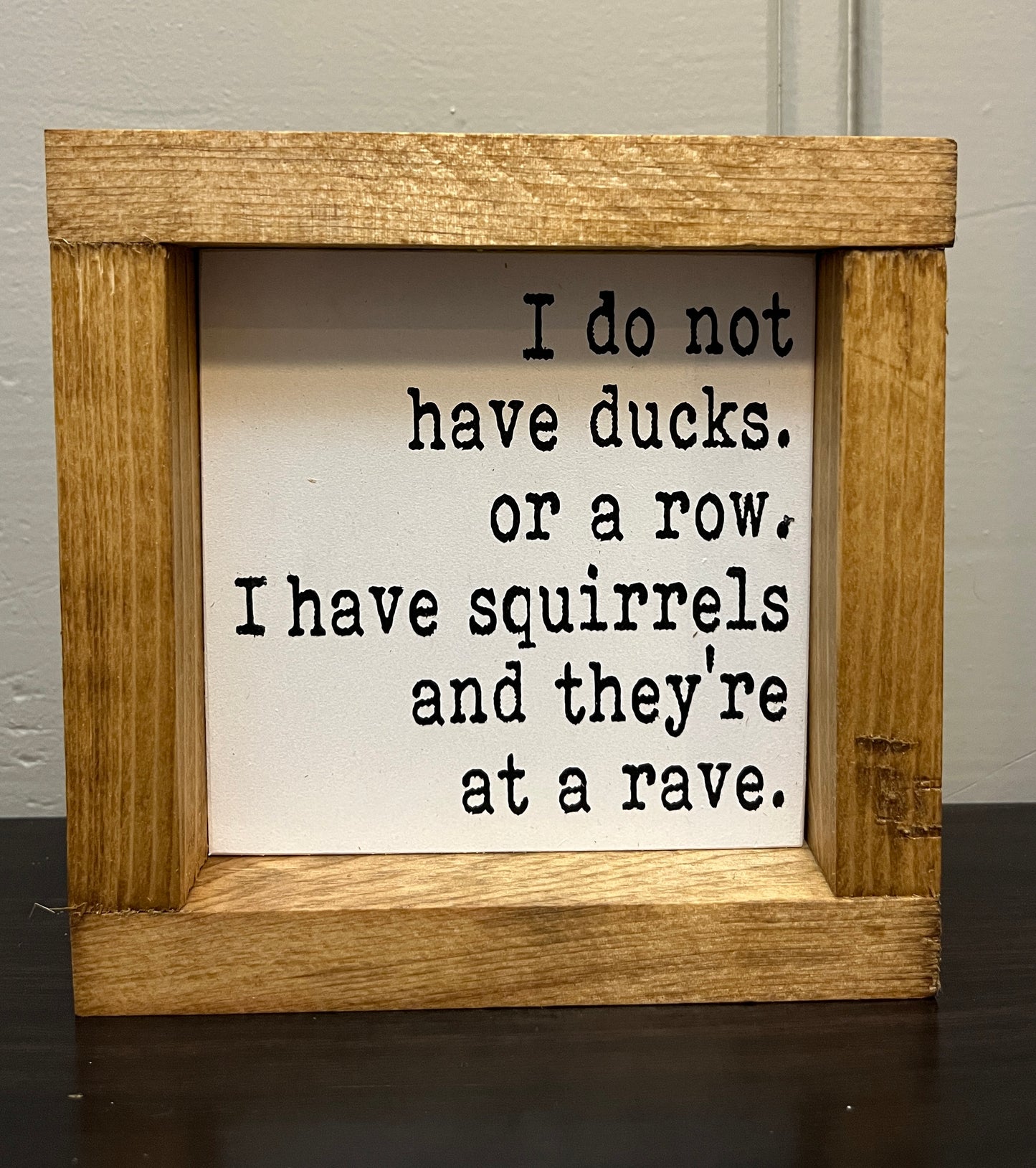Squirrels -Rave 6"